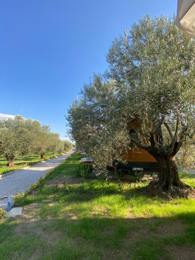 Gulet Tiny House Hotel Ayvacik Exterior foto